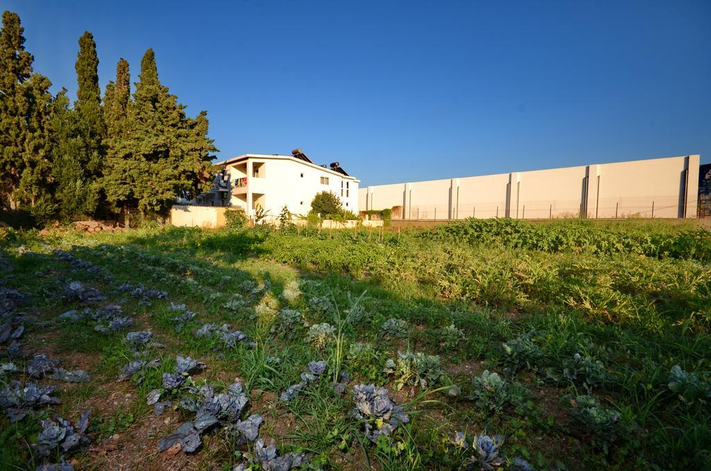 Tigaki Aspro Spiti Hotel Apartments מראה חיצוני תמונה
